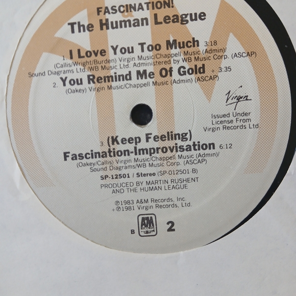 Collectible 1981 Human League Fascination - Picture 4 of 8